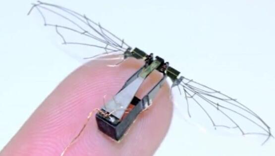 美国空军开发仿生微型无人机