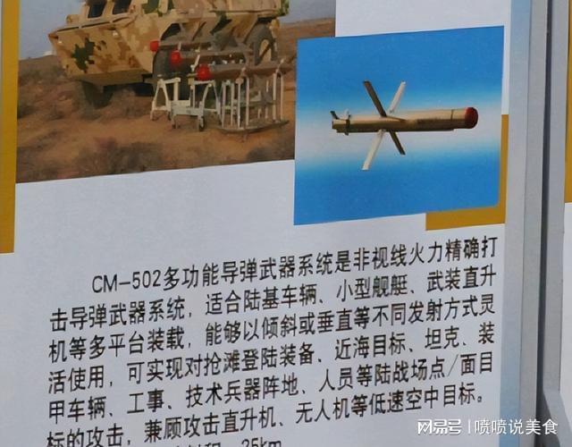 武直10有雷达么_武直10k和武直10区别_武直10最新长弓雷达