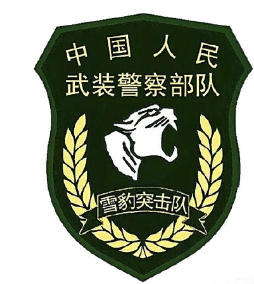 隶属中国人民解放军陆军济南军区的海军特种部队“雄鹰”(组图)