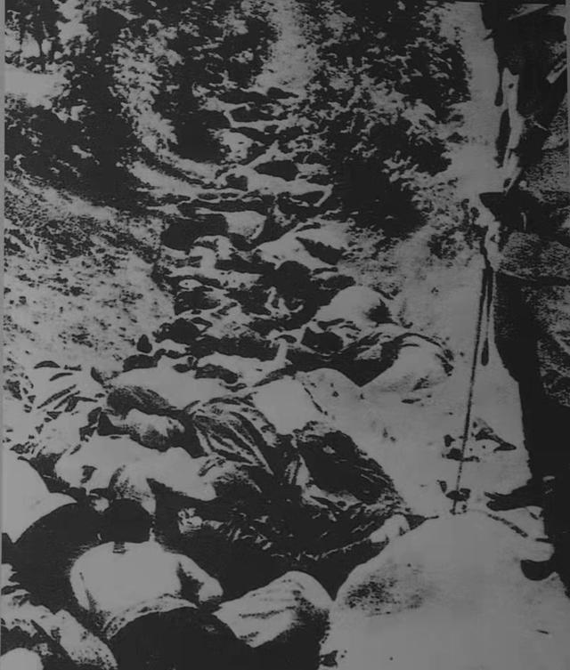 南京大屠杀日本97式坦克图片_日本不承认南京大屠_老男孩之猛龙过江教父式屠杀影评
