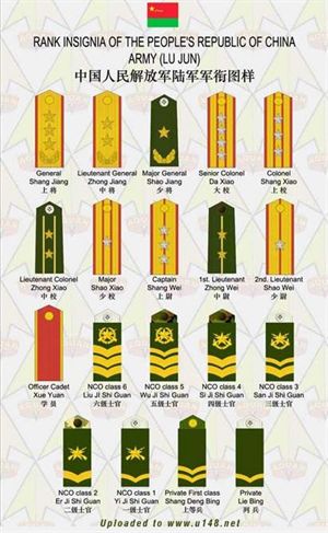 军改后技术类军官的出路