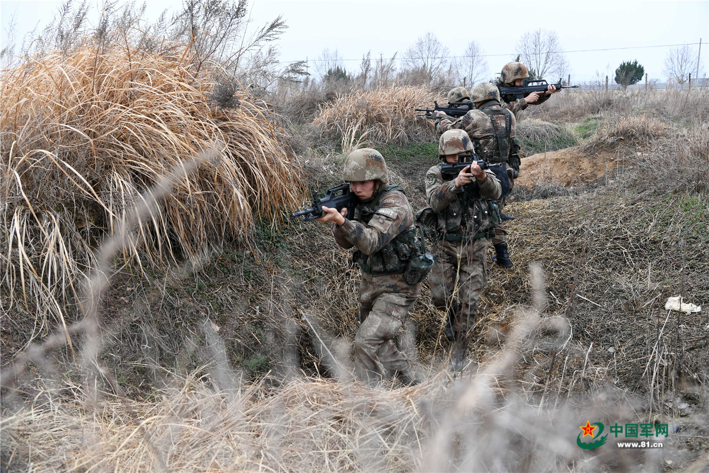 海岛奇兵迫击炮升级数据_海岛奇兵迫击炮手升级数据_海岛奇兵迫击炮升级