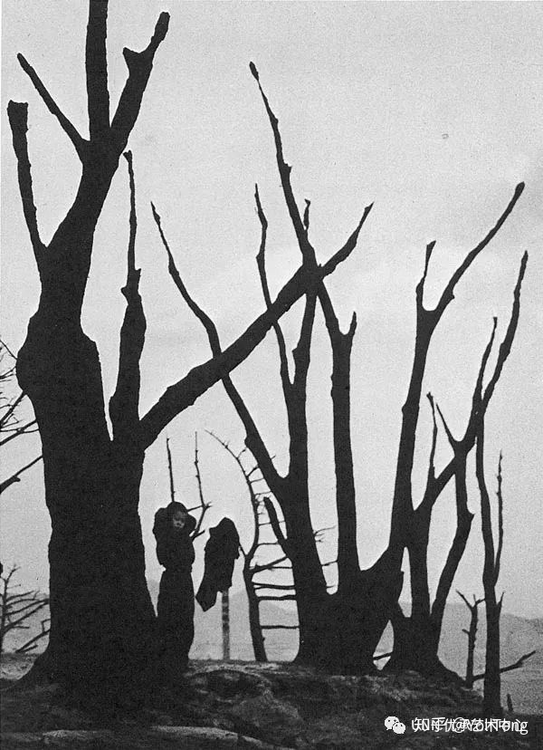 横版二战飞行游戏_发现4悬挂怎么调节_二战飞行员悬挂树上70多年被发现