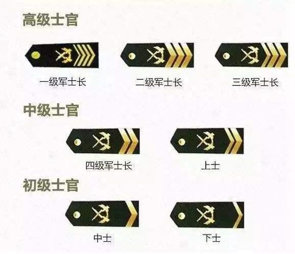 中国士官或军士军衔中的最高军衔和待遇相关规定