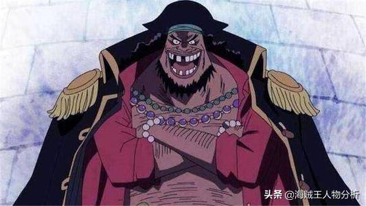 航海王东海篇_航海王顶上战争第几集_上海王剧情