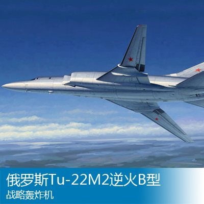 四大战略战略视野下的中国近现代史_欧亿莱v8刷机_图160战略轰炸机造价
