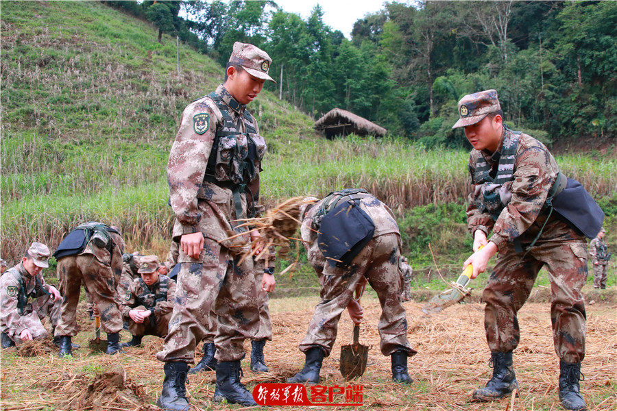 什么是数字化炮兵营_通化65367部队67分队工化营_张家口化稍营天气预报