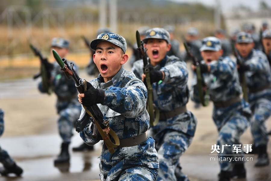 出奇制胜:军事院校详解人民军队实战案例_岀奇制胜打一生肖_出棋制胜下载