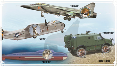 信息化战争武器介绍_龙门飞甲雨化田的武器_欧陆战争4mod娘化2次元